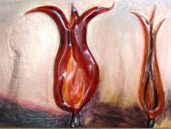 PICTURE, LES TULIPES DU PRINTEMPS